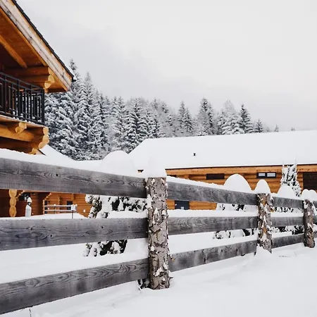 Clofers Leisure * ينغ